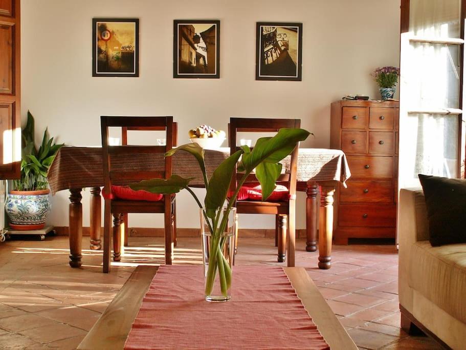 Apartamento Oasis Granada Exterior photo